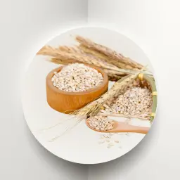 شعير حب